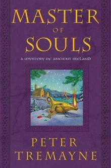 Sister Fidelma 16 - Master of Souls