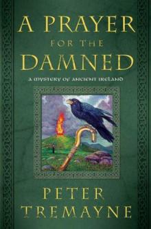 Sister Fidelma 17 - A Prayer for the Damned