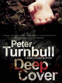 Deep Cover hv-2