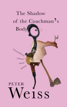 The Shadow of the Coachman's Body