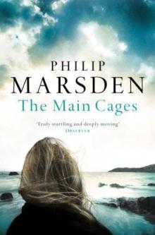 The Main Cages The Main Cages