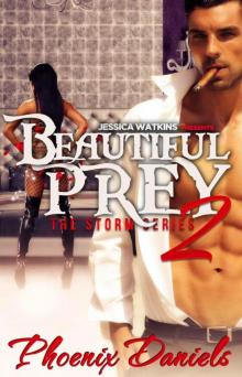 Beautiful Prey 2: The Storm Series (BWWM Romance)