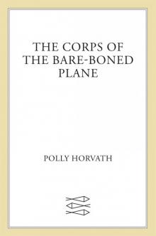 The Corps of the Bare-Boned Plane