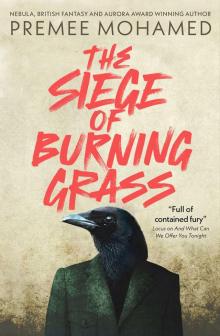 The Siege of Burning Grass