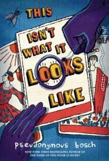 This Isn't What It Looks Like-secret 4