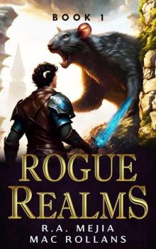 Rogue Realms - Book 1: (A LitRPG Adventure)