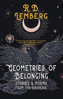 Geometries of Belonging Geometries of Belonging