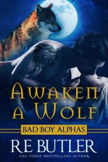 Awaken a Wolf (Wiccan-Were-Bear Book 9) Awaken a Wolf (Wiccan-Were-Bear Book 9)