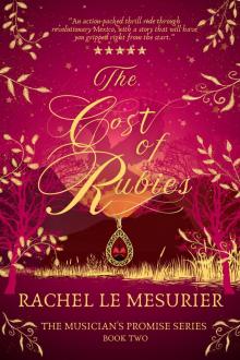 The Cost of Rubies