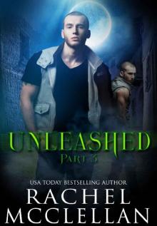 Unleashed: Part 3 (Unleashed Series)
