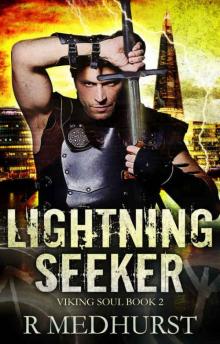 Lightning Seeker: Viking Soul Book 2 (Viking Soul Series)