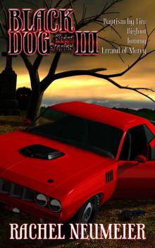 Black Dog Short Stories III