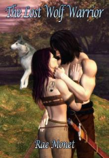 Wolf Warrior 01 The Lost Wolf Warrior