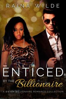 Enticed by the Billionaire: A BWWM Billionaire Romance Collection