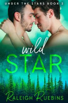 Wild Star: Under the Stars Book 3