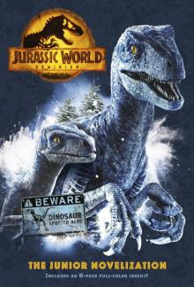 Jurassic World Dominion Jurassic World Dominion