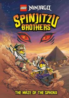 LEGO Spinjitzu Brothers Chapter Book LEGO Spinjitzu Brothers Chapter Book