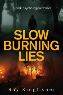 Slow Burning Lies - A Dark Psychological Thriller