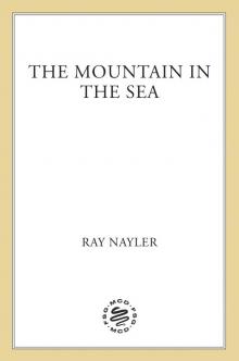 The Mountain in the Sea