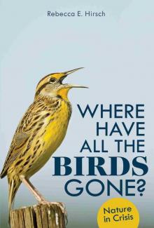 Where Have All the Birds Gone?