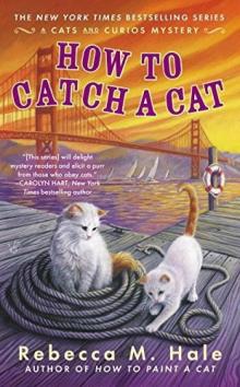 How to Catch a Cat How to Catch a Cat