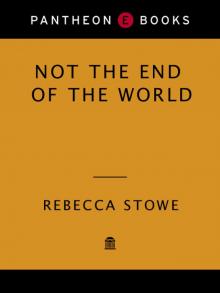 NOT THE END OF THE WORLD