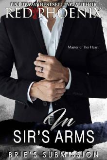 In Sir's Arms (Brie's Submission Book 16)