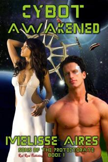 Cybot Awakened