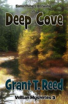 Something's Brewing in Deep Cove (Vellian Mysteries Book 3)