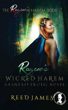 Rogue's Wicked Harem