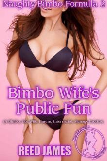 Bimbo Wife's Public Fun (Naughty Bimbo Formula 2): (A Bimbo, Hot Wife, Harem, Interracial, Menage Erotica)