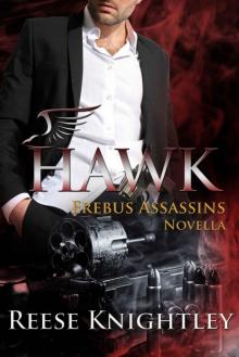 Hawk (An Erebus Assassins short story)