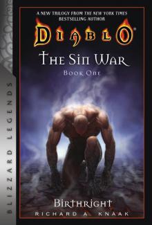 Diablo: The Sin War - Birthright - Book One