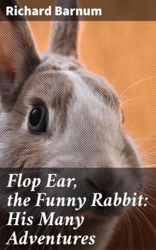 Flop Ear, the Funny Rabbit
