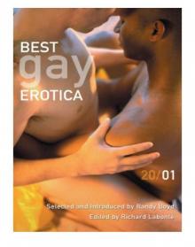Best Gay Erotica 2001