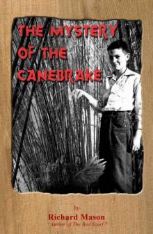 The Mystery of the Canebrake