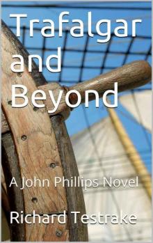 Trafalgar and Beyond: A John Phillips Novel (War at Sea Book 3)