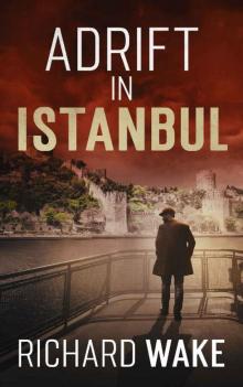 Adrift in Istanbul (Alex Kovacs thriller series Book 9)