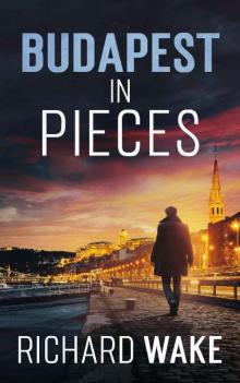 Budapest in Pieces