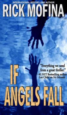 If Angels Fall (tom reed and walt sydowski)
