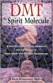 DMT_The Spirit Molecule