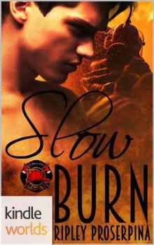 Slow Burn (Kindle Worlds Novella)