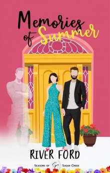 Memories of Summer: A small-town, second chance, veteran romance