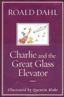 Charlie and the Great Glass Elevator c-2