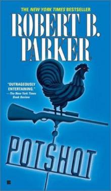 Potshot s-28