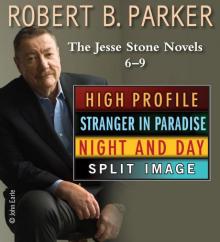 The Jesse Stone Novels 6-9