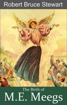 The Birth of M.E. Meegs (Emmie Reese Mysteries, Story #1)