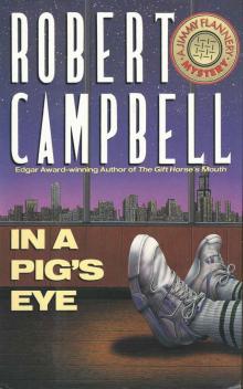 In a Pig's Eye
