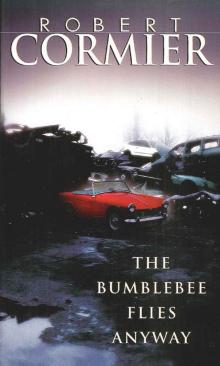 The Bumblebee Flies Anyway