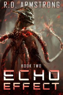 Symphony of Descension: Echo Effect book 2